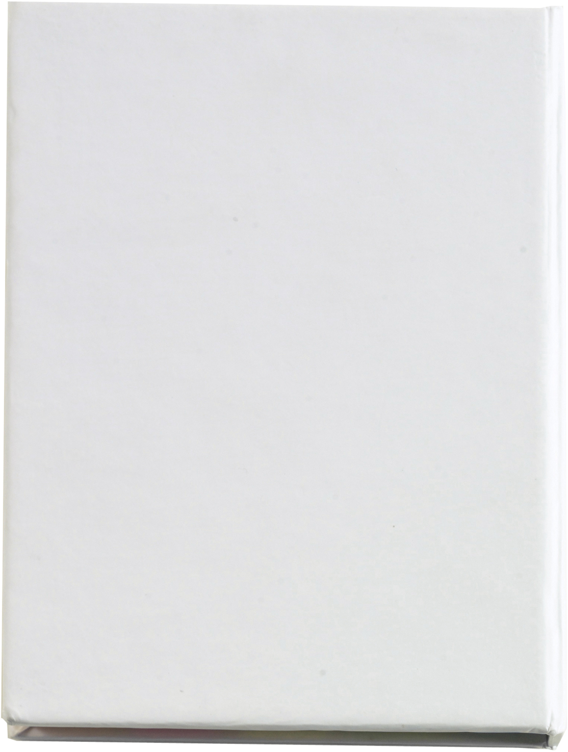 Haftnotizen aus Karton Duke