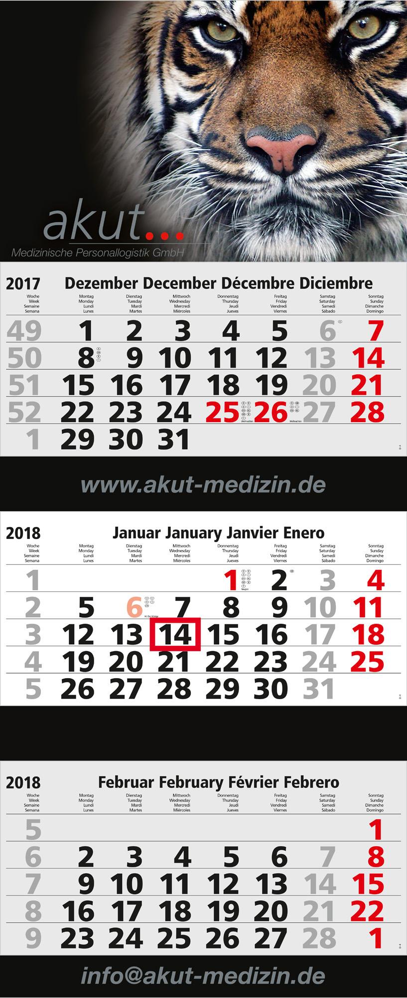 Maxi 3 Post Complete