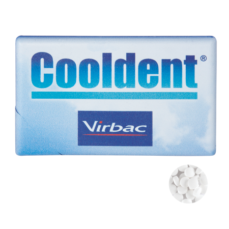 Mintdispenser Kreditkarte mit ca. 8 gr. minties mit Zutatenaufkleber DIGITALDRUCK