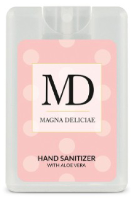 Handreinigungsspray 20ml in Checkkartenform