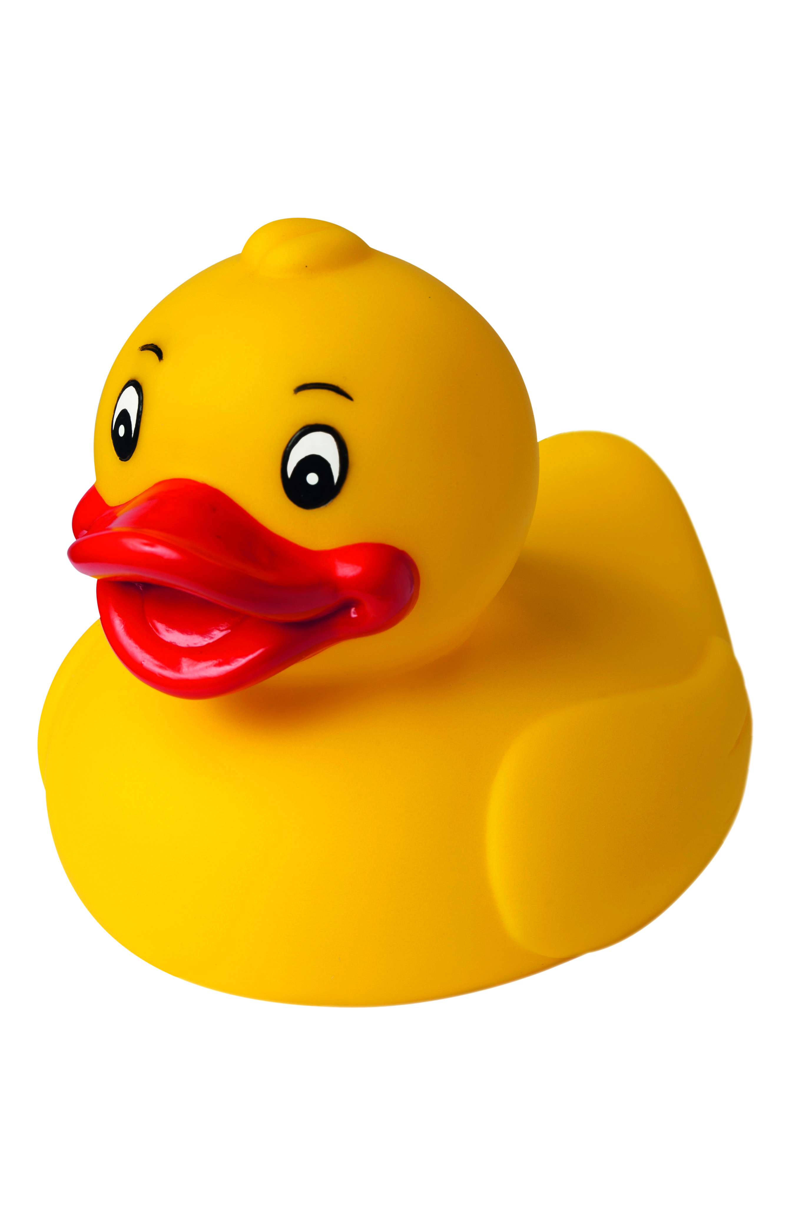 Quietsche-Ente Gr. L, groß