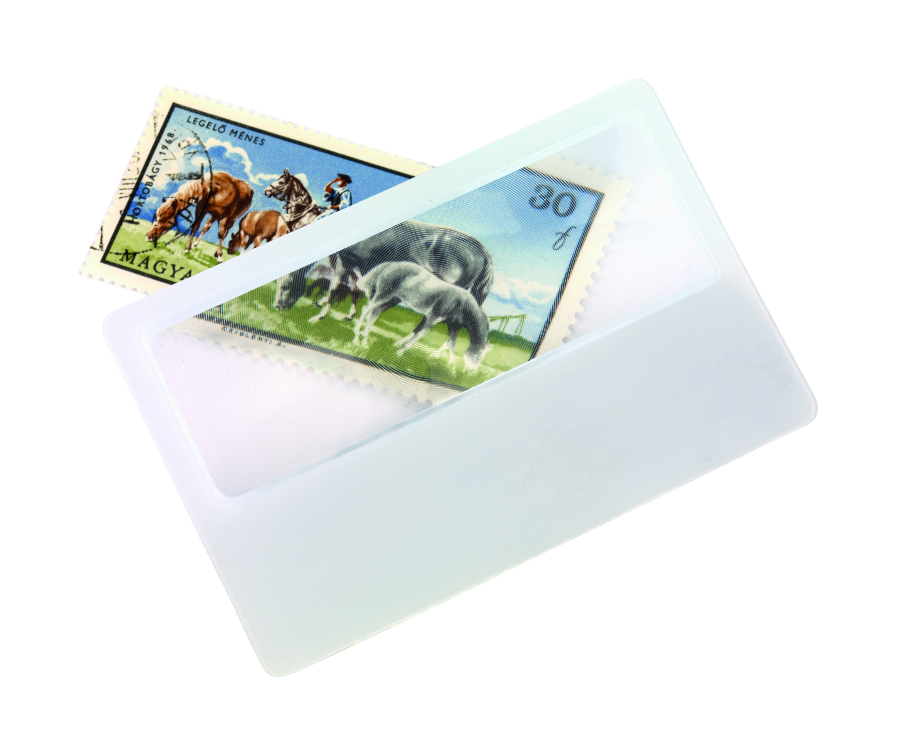 Kreditkartenlupe "Support", blau