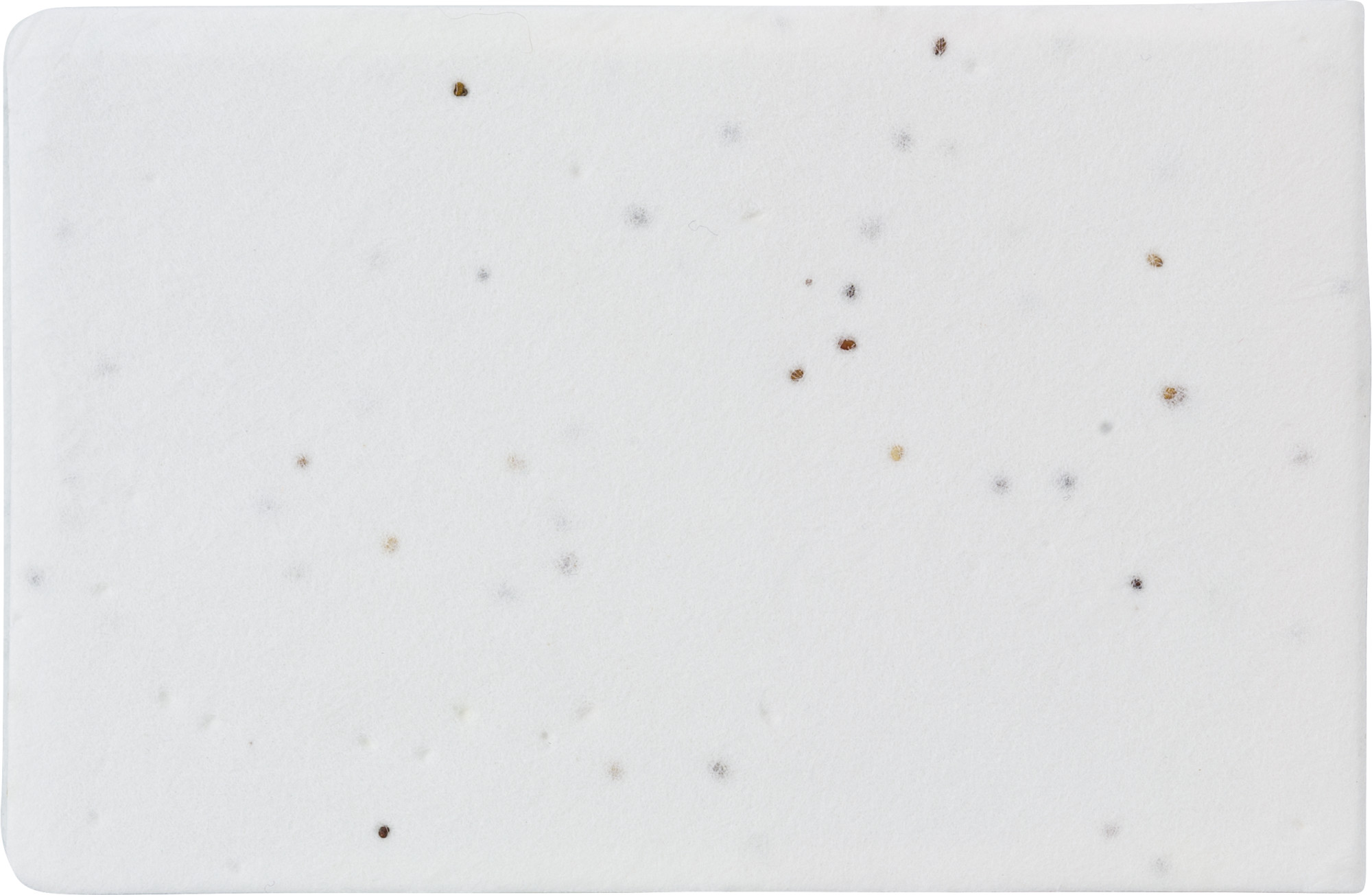 Haftnotizen aus Saatgutpapier Natalja